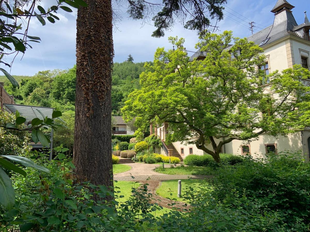 Fewo Schieferjuwel 1 Og Weingut Ca-Haussmann Daire Traben-Trarbach Dış mekan fotoğraf